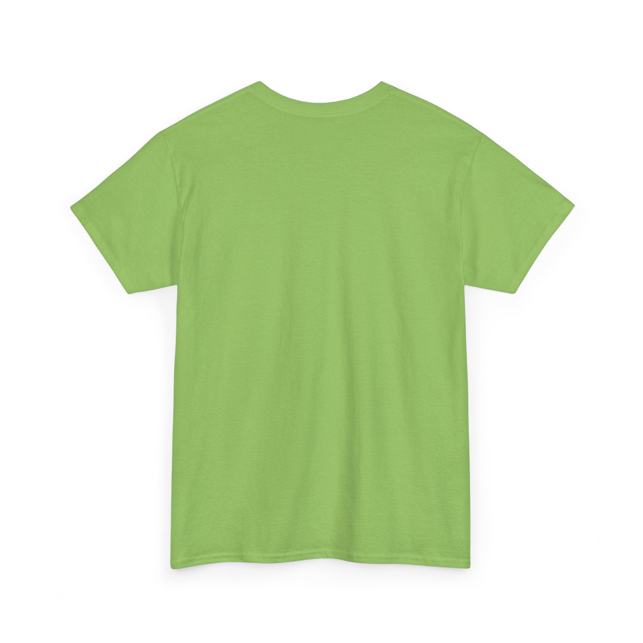 Wicked T-Shirt - Elphaba, Glinda, Defying Gravity Names List Tee | Broadway Musical Gift, Popular Witch Fan Apparel